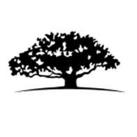 WisdomTree China ex-State-Owned Enterprises Fund logo